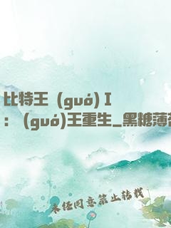 比特王國(guó)Ⅰ: 國(guó)王重生